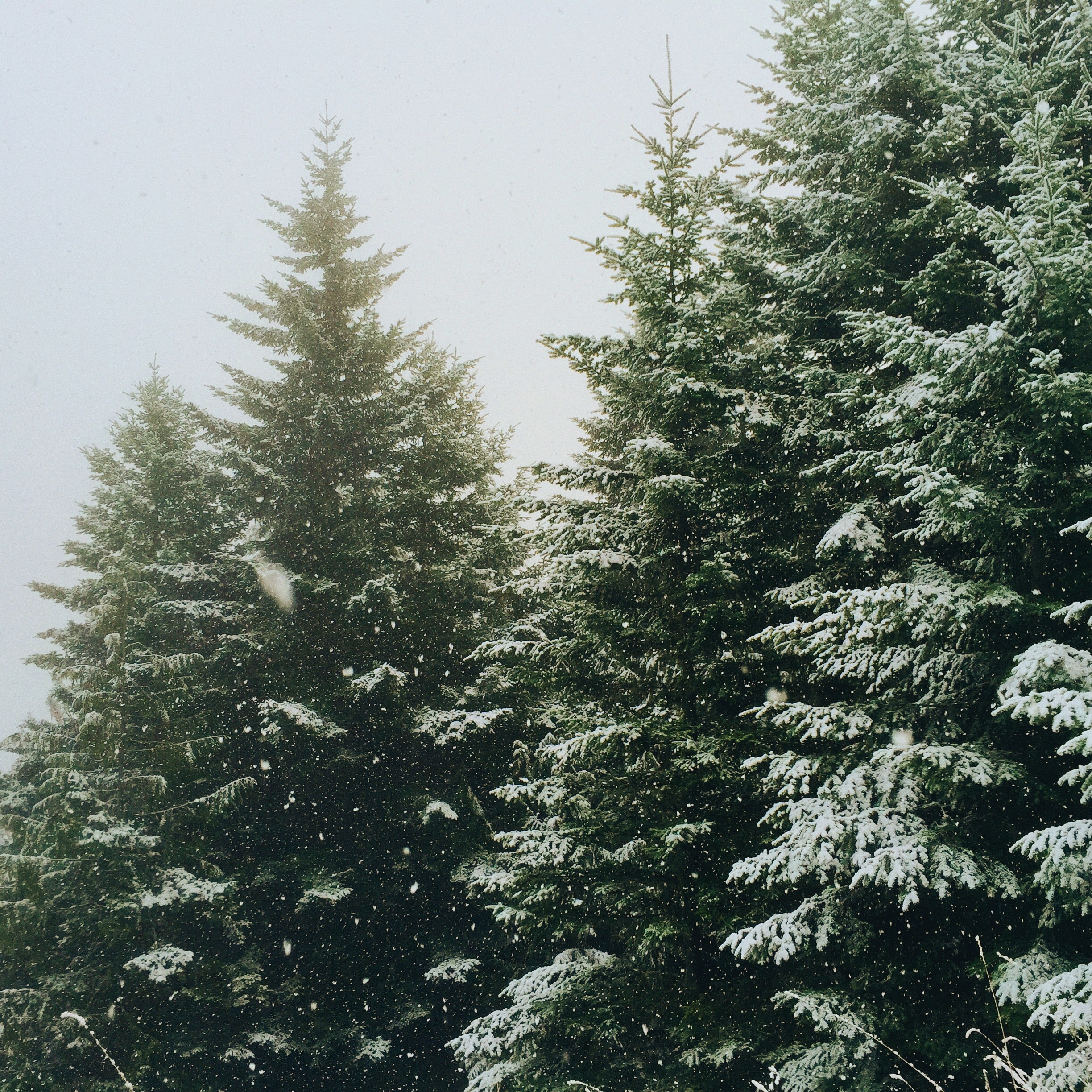 jeremy-gallman-wsfw_16qrf0-unsplash